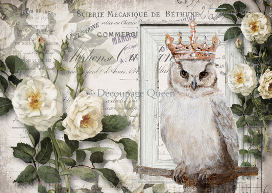 Decoupage Queen Wise Friend #0559