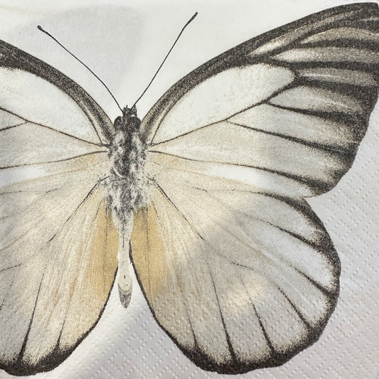 Butterfly Cocktail Napkin (2)