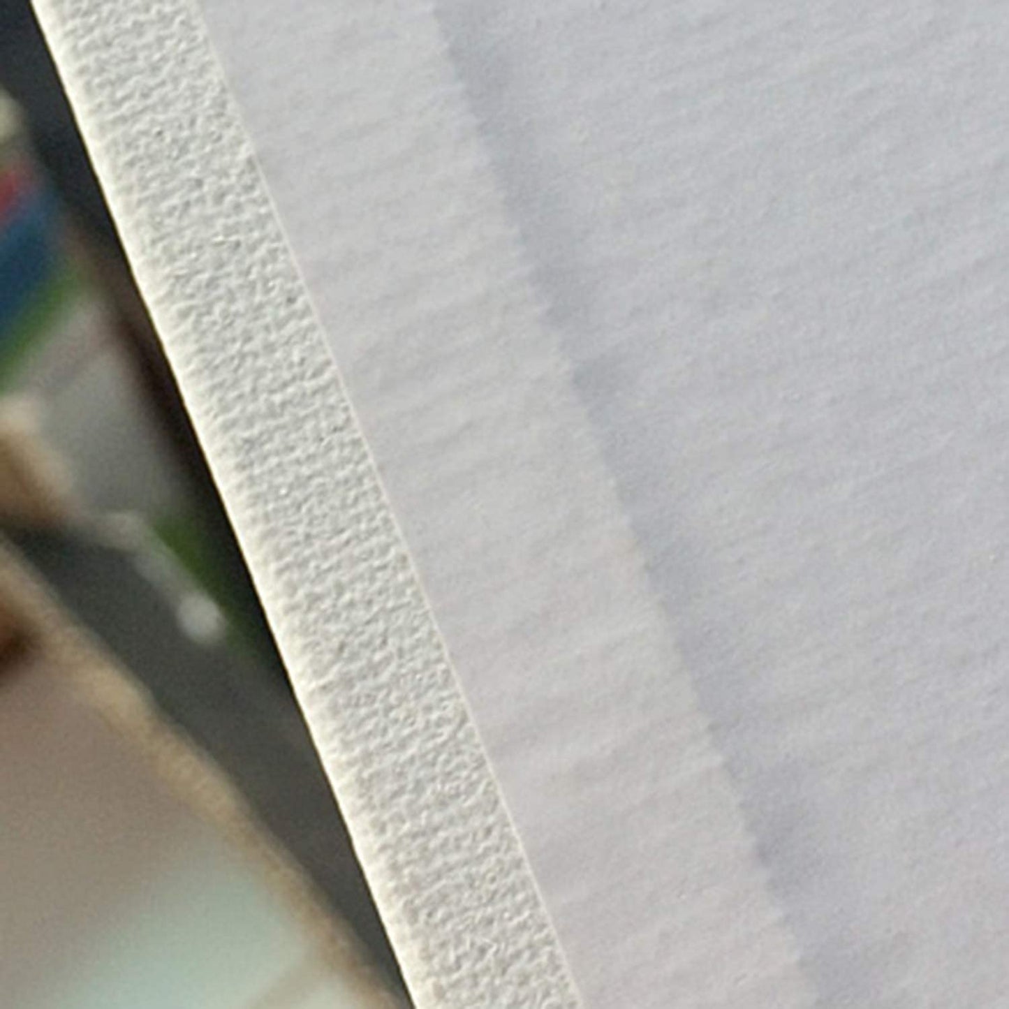 8X10" Artist Canvas White (Set of 5)