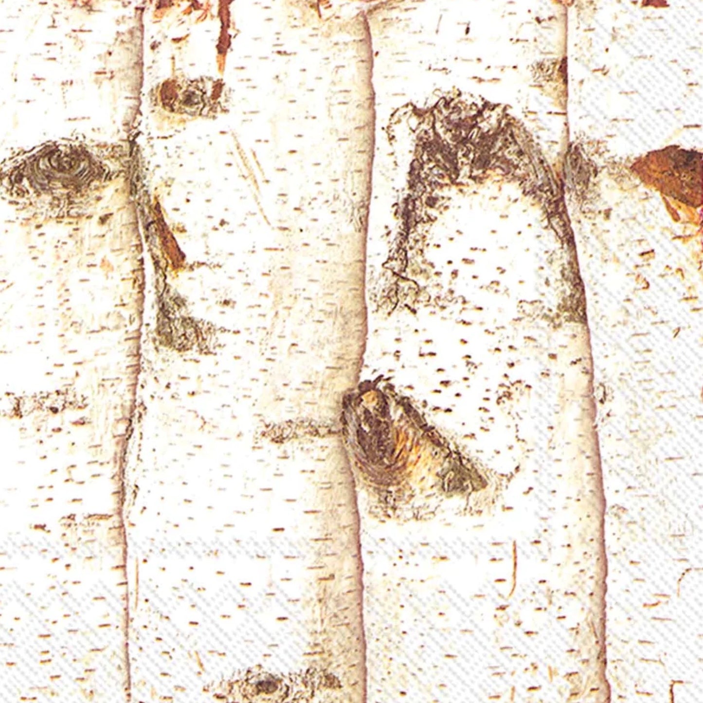 Birch Tree Cocktail Napkin (Set of 2)