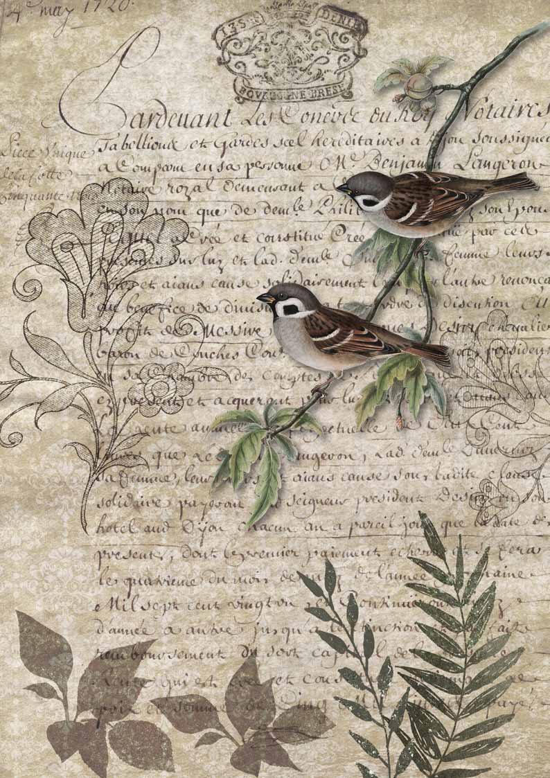 Decoupage Queen Birds on a Branch #0089