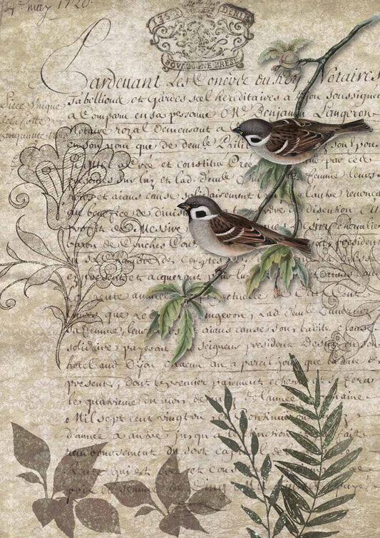 Decoupage Queen Birds on a Branch #0089