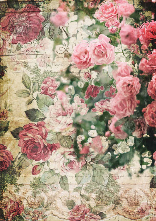 Decoupage Queen Splash of Roses #0239