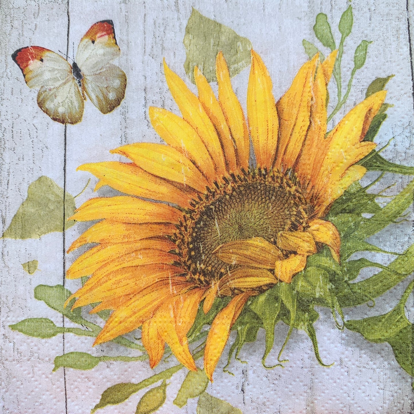 Vintage Sunflower Cocktail Napkin (Set of 2)
