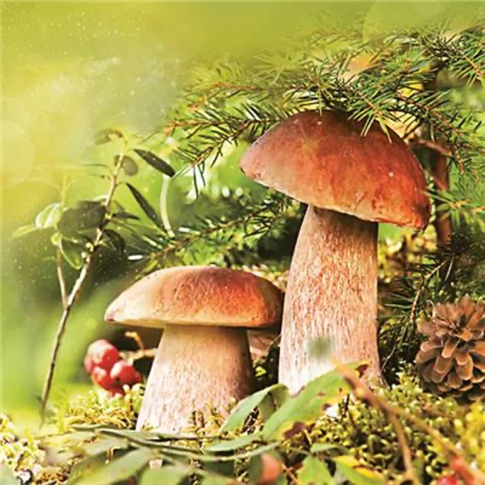 Mushroom Forest Napkin LUNCH Size (Set of 2)