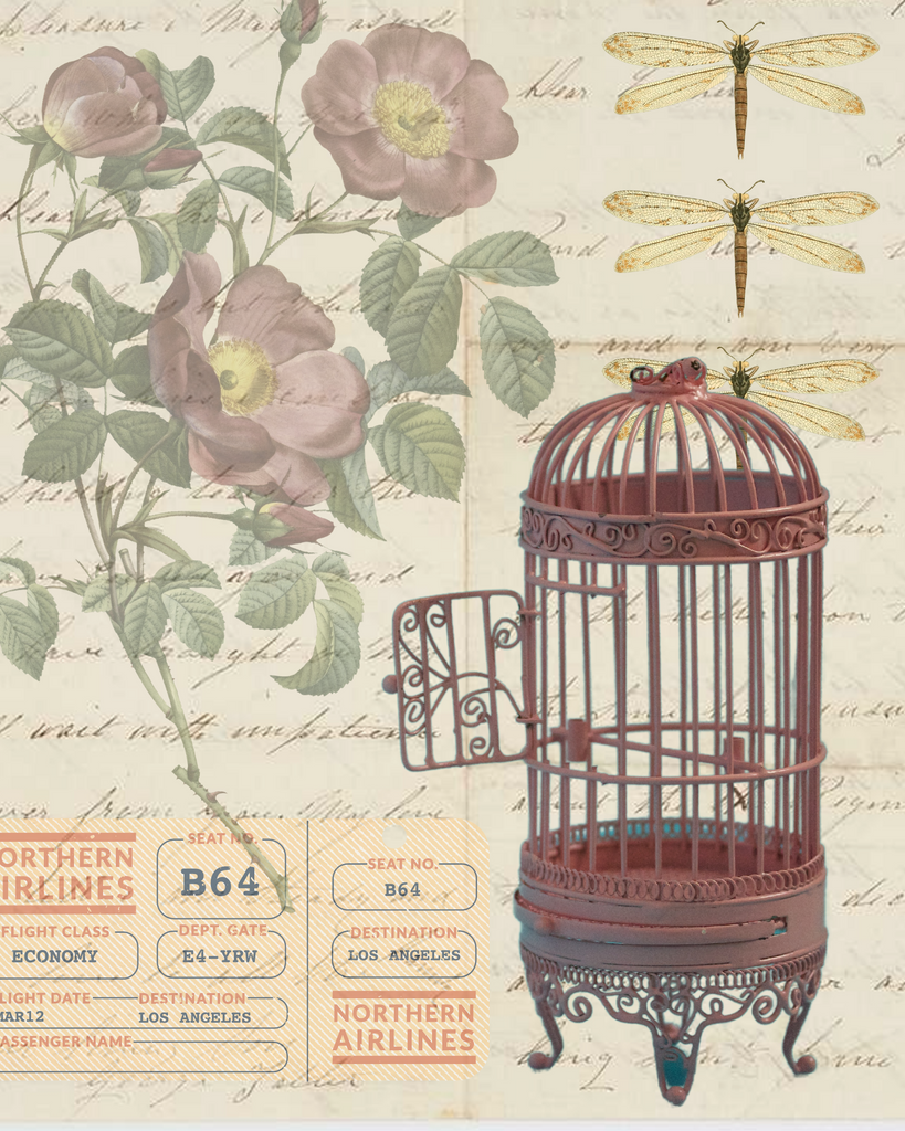 Vintage BIRDCAGE Collage Printable 8X10"