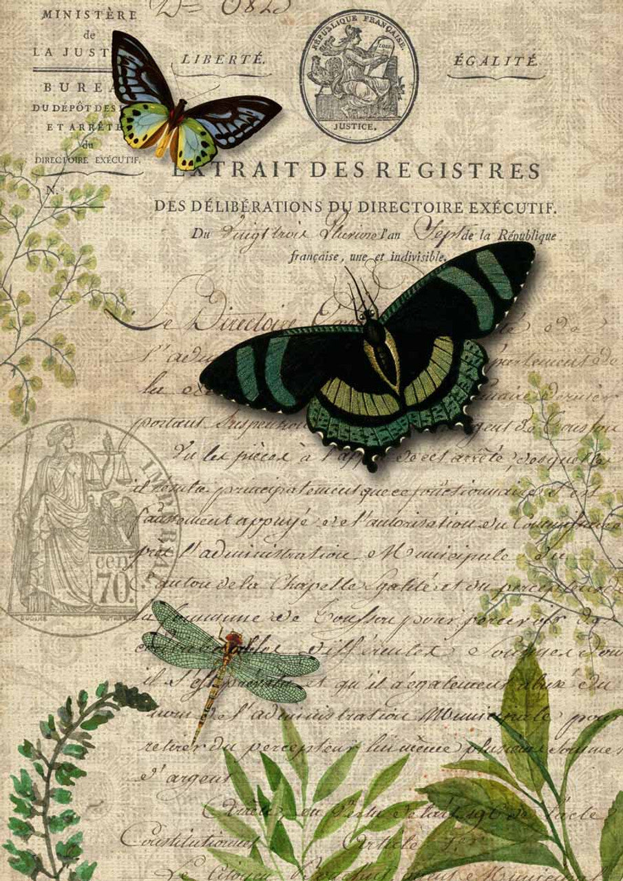 Decoupage Queen Paper Butterfly Botanical #0090