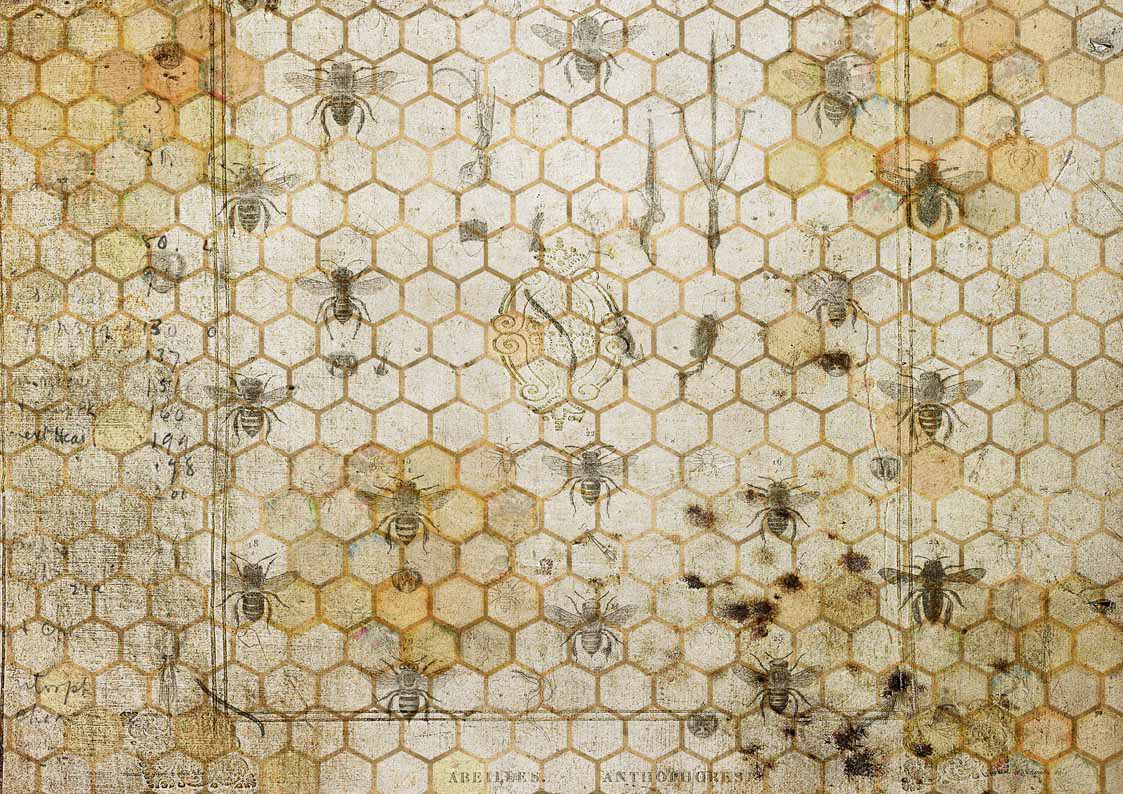 Decoupage Queen The Honeycomb #0113