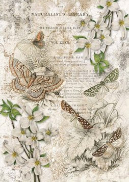 Decoupage Queen Paper Naturalist Library #0147