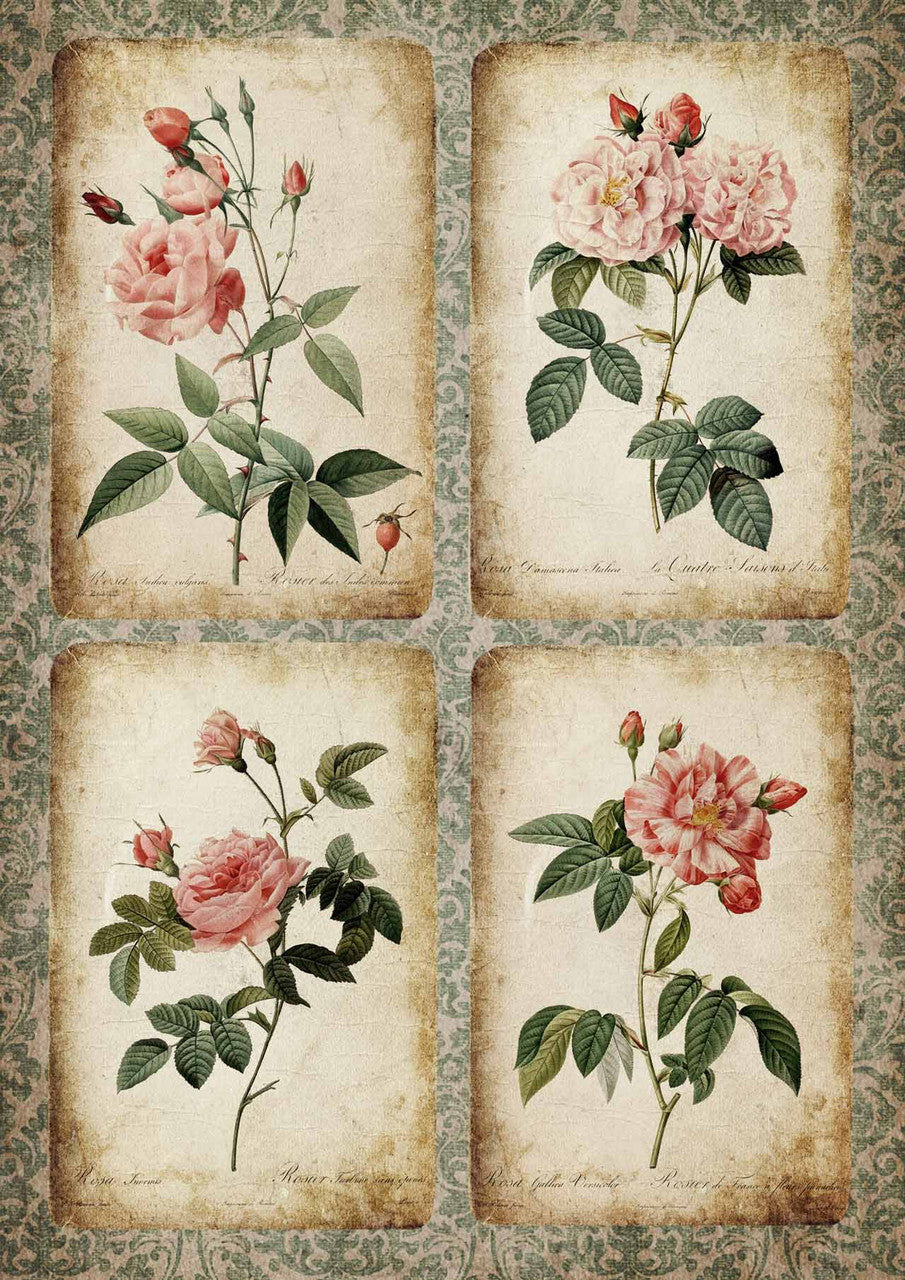 Decoupage Queen Paper Rose Cards #0240