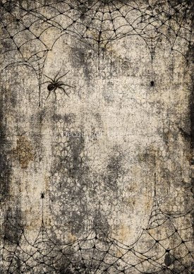 Decoupage Queen Webs & Spiders #0306