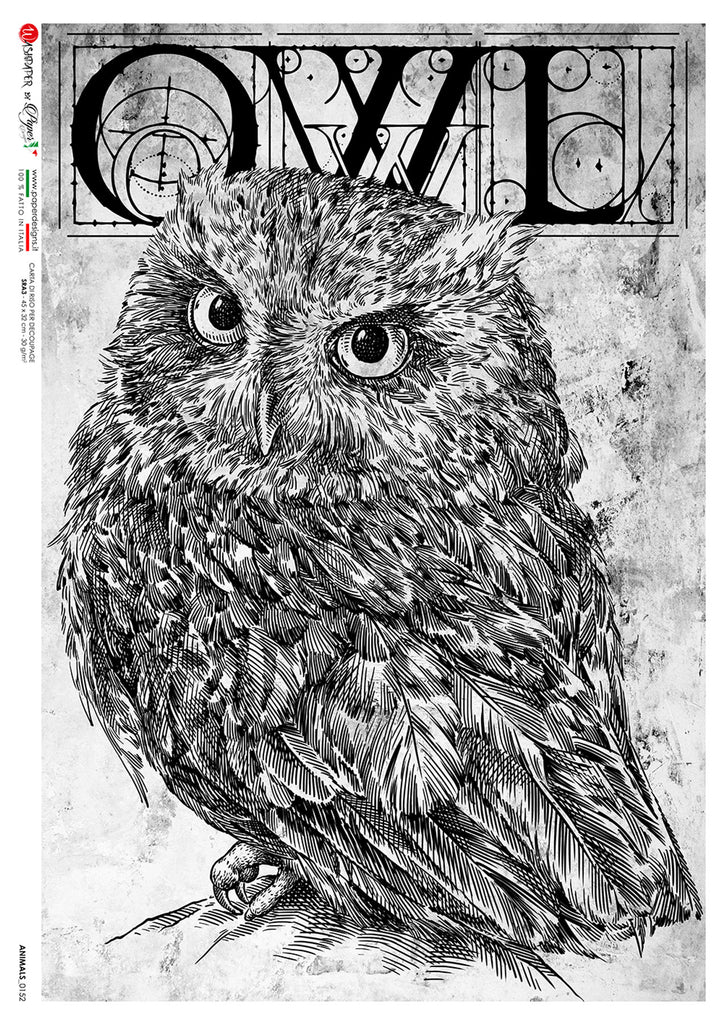 Paper Designs Rice Paper Animals Owl #0152