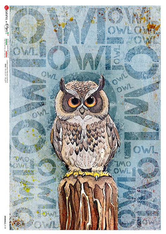 Paper Designs Rice Paper Animals Owl Blue Background 0139